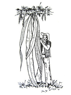 dt00028.jpg