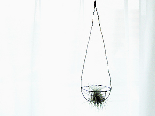 dt00044.jpg